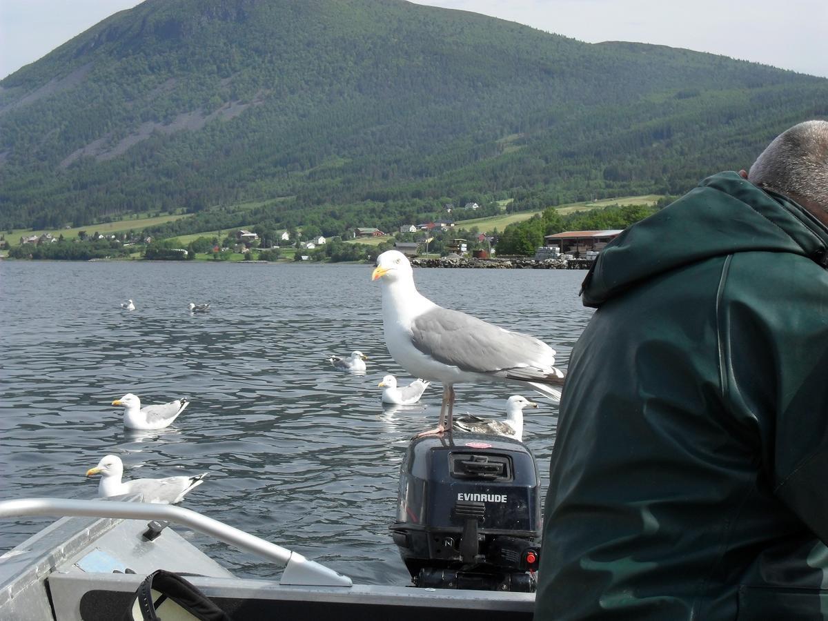 Fagervik Camping Tresfjord Εξωτερικό φωτογραφία